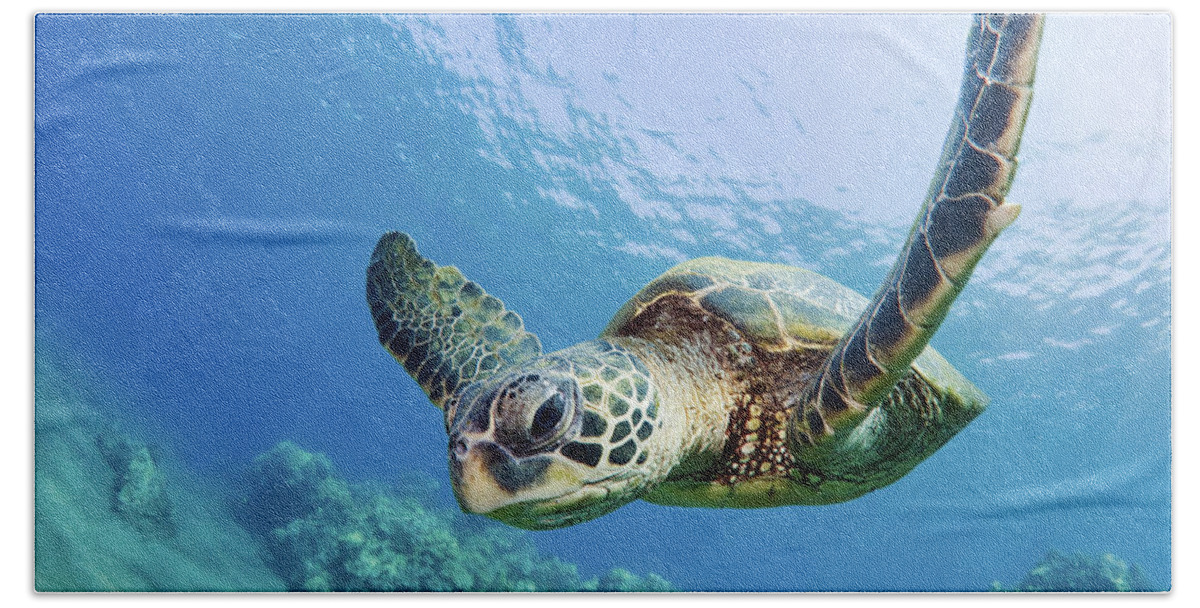 Animal Hand Towel featuring the photograph Green Sea Turtle - Maui by M Swiet Productions