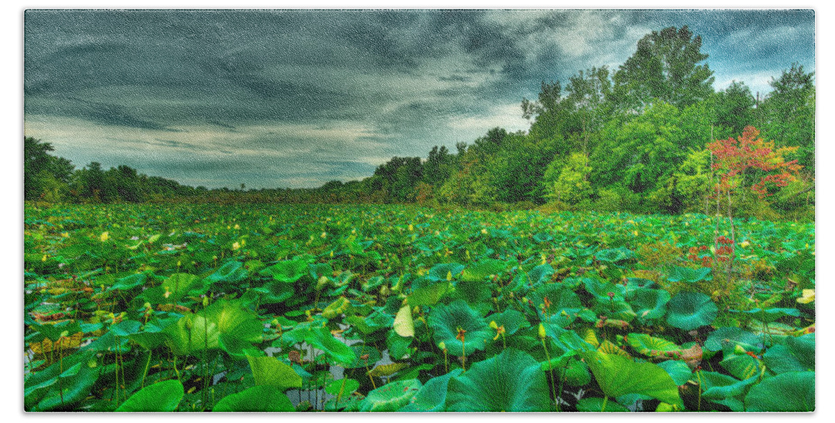 Swamp Hand Towel featuring the photograph Green Swamped by Brett Engle
