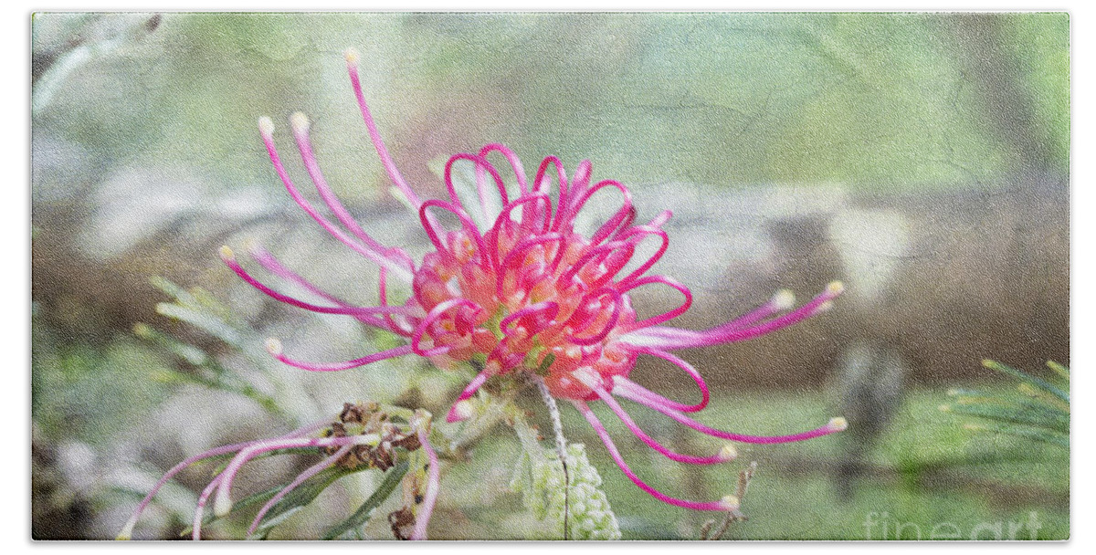 Flowers Pink Bath Towel featuring the photograph Grevillea by Linda Lees