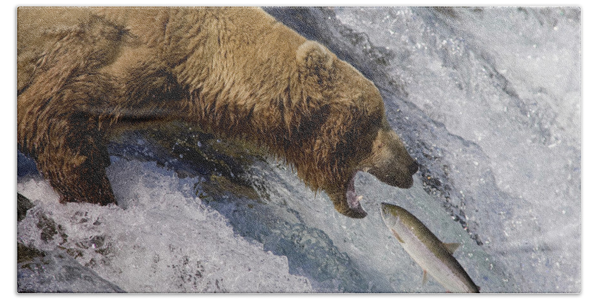 00437111 Hand Towel featuring the photograph Grizzly Bear Catching Salmon by Matthias Breiter