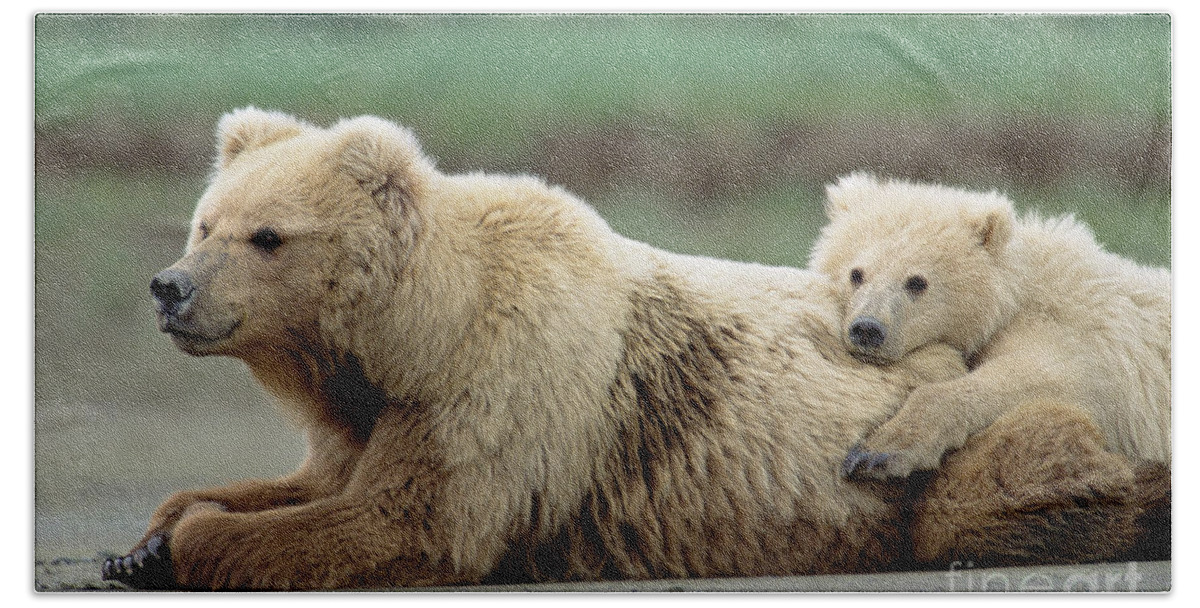 00345267 Hand Towel featuring the photograph Grizzly Mother And Son by Yva Momatiuk John Eastcott