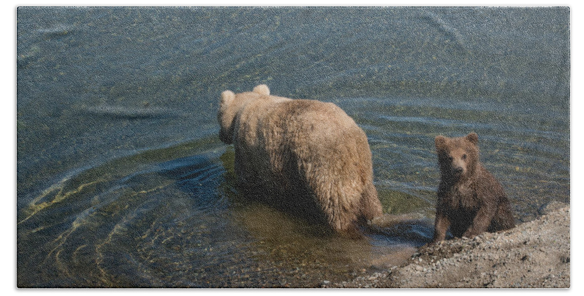 Alaska Bath Towel featuring the photograph Grizzly Spring Cub with Its Mom by Joan Wallner