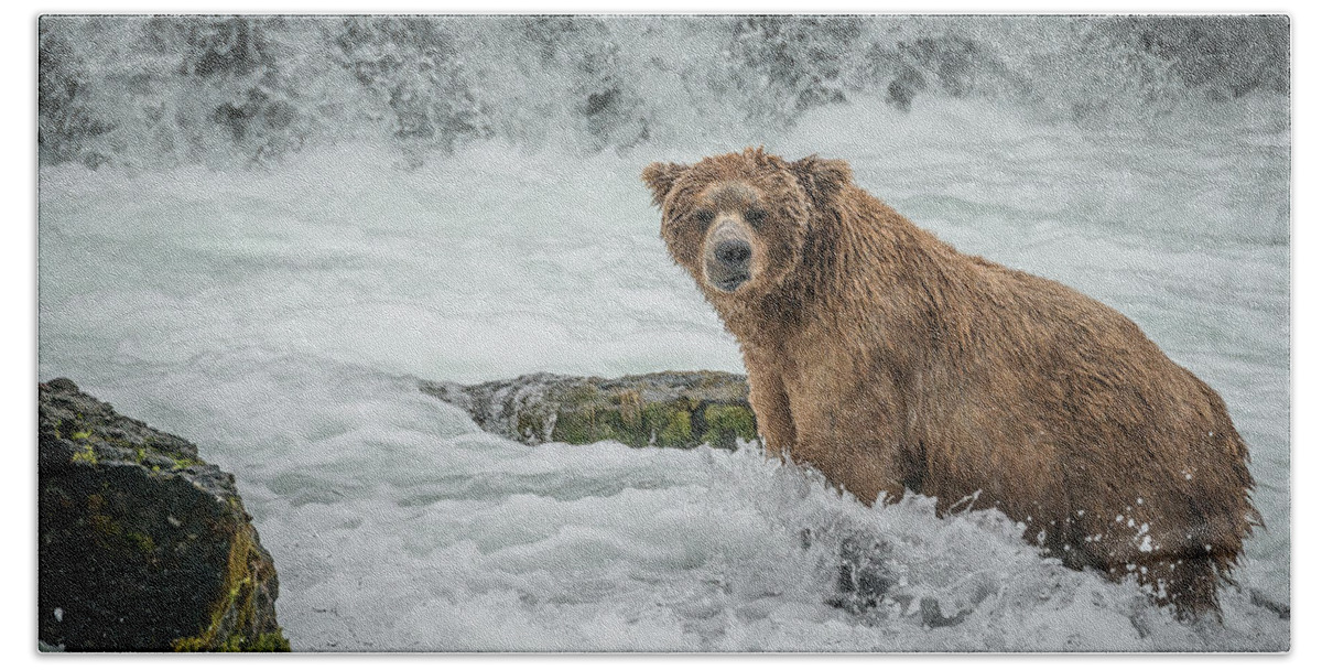 Alaska Bath Towel featuring the photograph Grizzly Stare by Joan Wallner