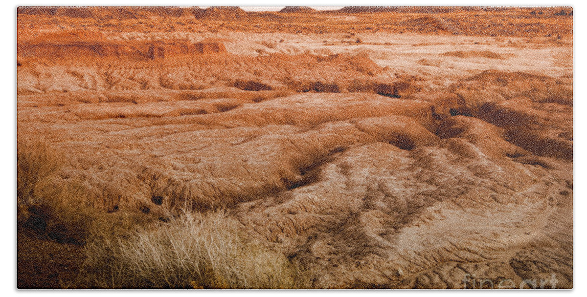 Petrified Forest National Park Bath Towel featuring the photograph Ground Formations by Douglas Barnard