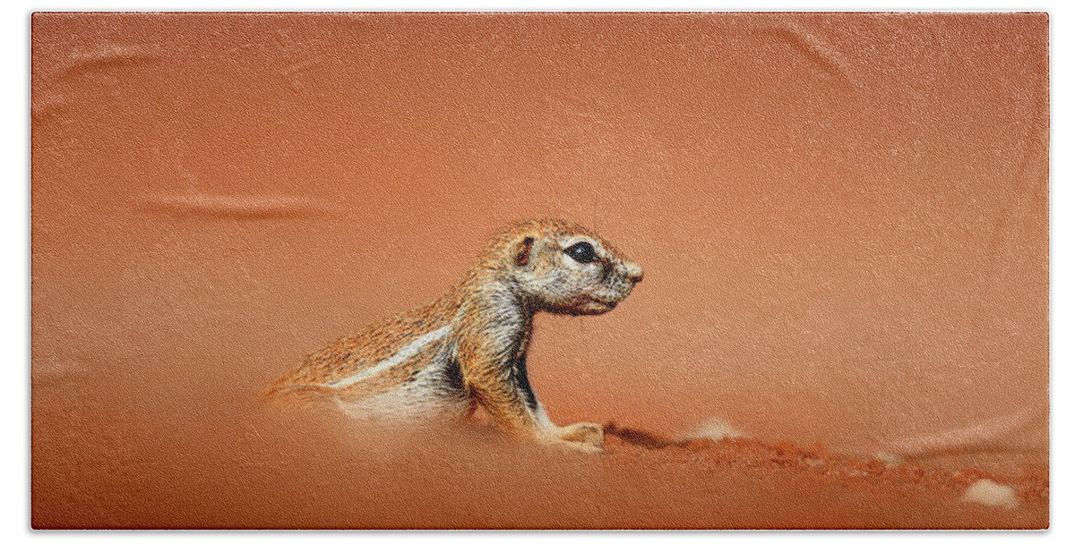Squirrel Bath Towel featuring the photograph Ground squirrel on red desert sand by Johan Swanepoel