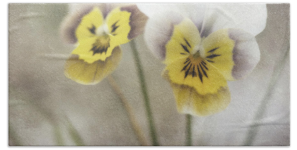 Pansy Bath Towel featuring the photograph Growing Wild by Priska Wettstein