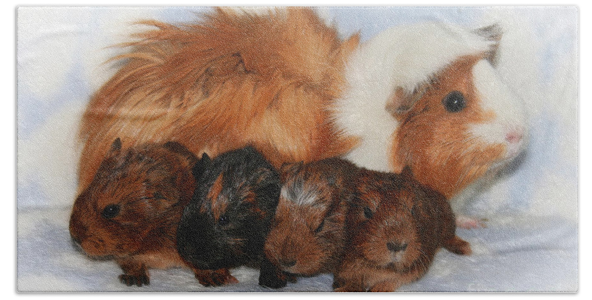 Photo Bath Towel featuring the photograph Guinea Pig Family by Jutta Maria Pusl