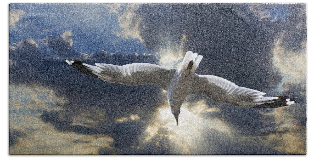Art Bath Towel featuring the photograph Gull Flying under a Radiant Sunburst by Randall Nyhof
