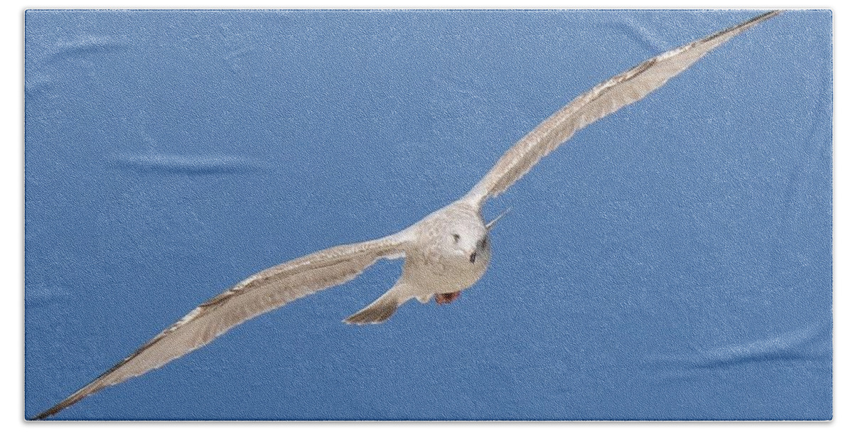 Sea Bath Towel featuring the photograph Gull in Flight by Christy Pooschke