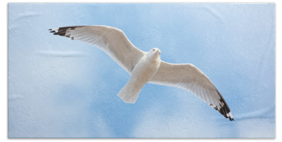 Gull Bath Towel featuring the photograph Gull in the Clouds by Holden The Moment
