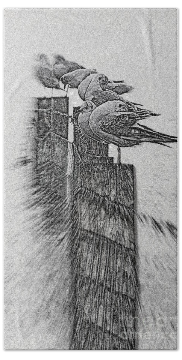 Gulls Hand Towel featuring the photograph Gulls in Pencil effect by Linsey Williams