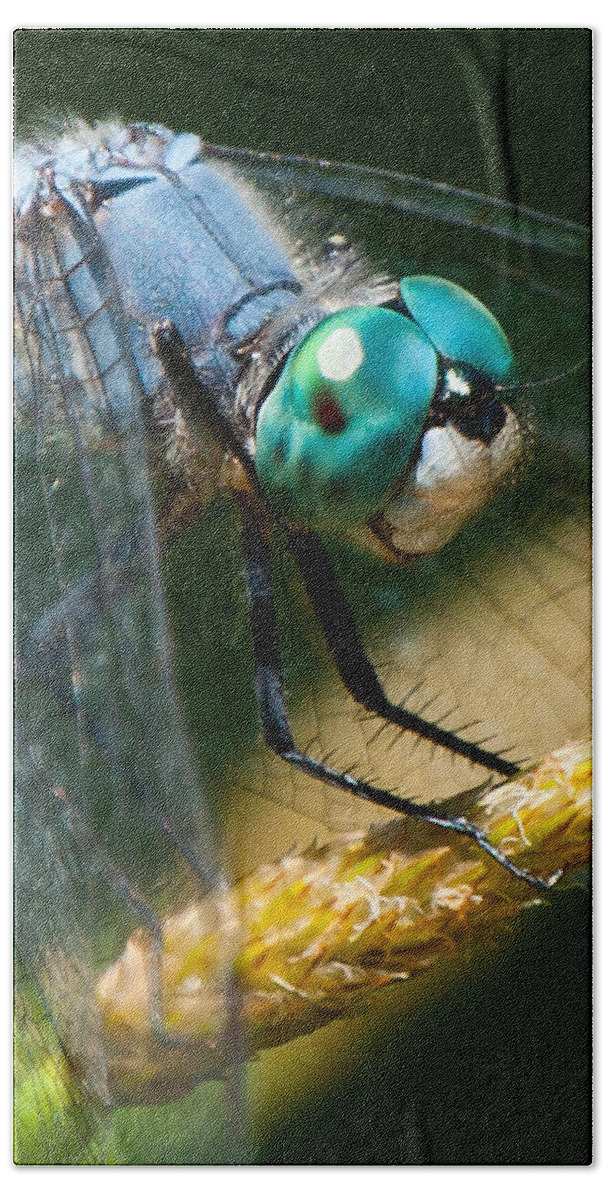 Dragonfly Bath Towel featuring the photograph Happy Blue Dragonfly by Janis Knight