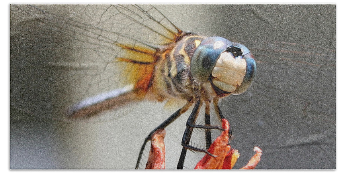 Nature Bath Towel featuring the photograph Happy Dragonfly by William Selander
