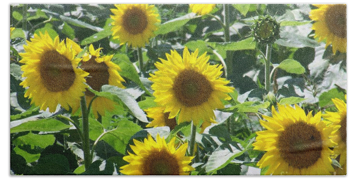 Sunflowers Bath Towel featuring the photograph Happy Faces by Jackie Mueller-Jones