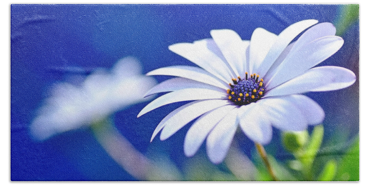 Photography Hand Towel featuring the photograph Happy White Daisy 2- Blue Bokeh by Kaye Menner