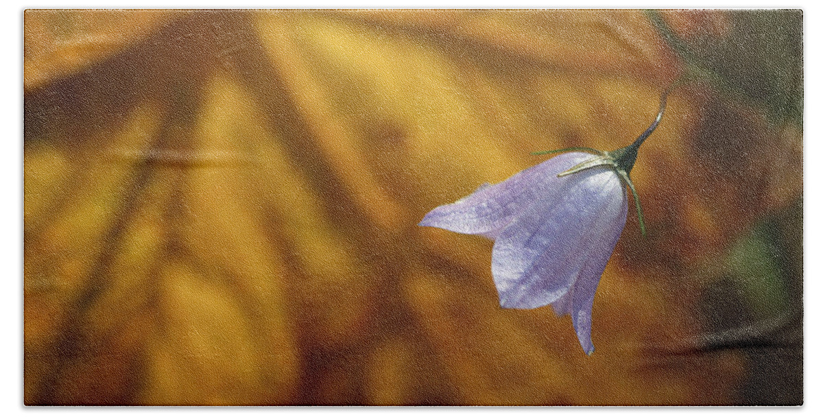 Indigo Bath Towel featuring the photograph Hare Bell and Gold Leaf by Roger Snyder