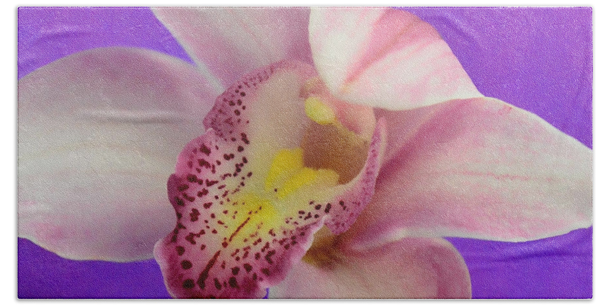 Orchid Hand Towel featuring the photograph Hear Me Roar by Donna Blackhall