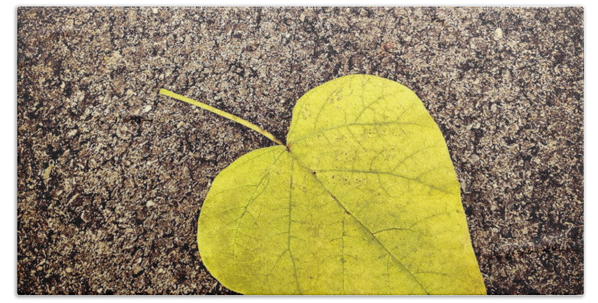 Leaf Bath Towel featuring the photograph Heart Shaped Leaf on Pavement by Angela Rath