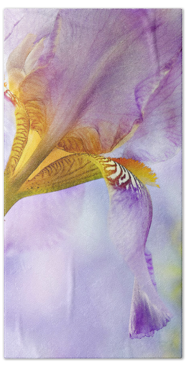 Floral Hand Towel featuring the photograph Heavenly Iris 2 by Theresa Tahara