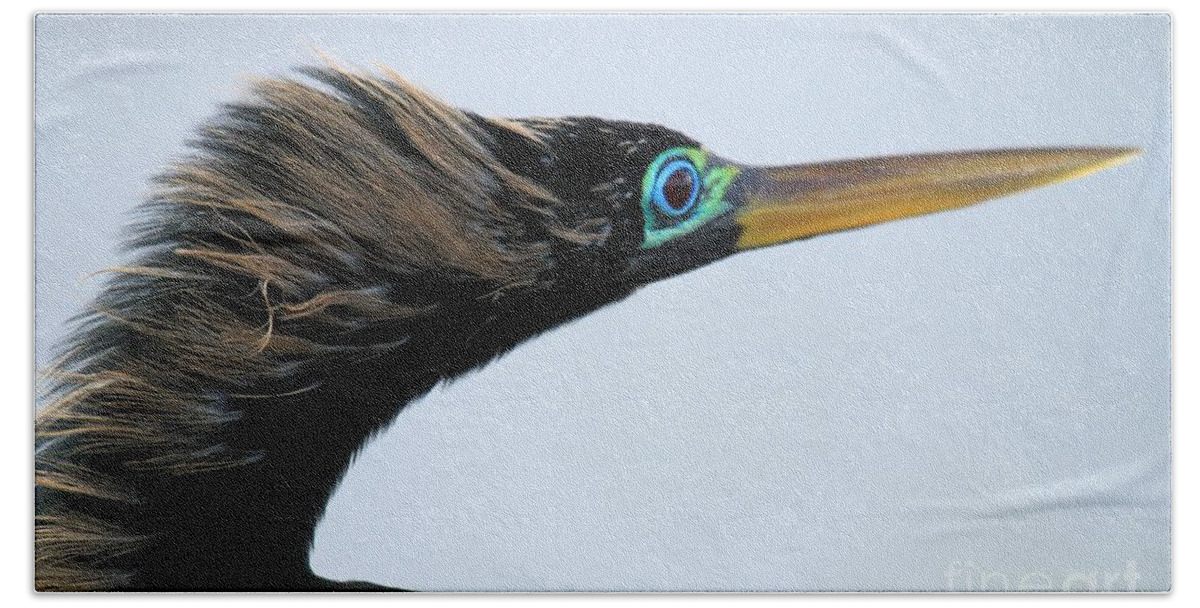 Anhinga Hand Towel featuring the photograph Heavy On The Hair Gel by Adam Jewell