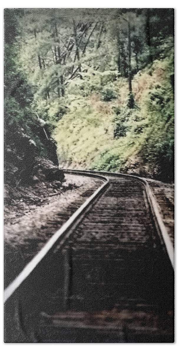 Railroad Bath Towel featuring the photograph Hegia Burrow Railroad Tracks by Lesa Fine