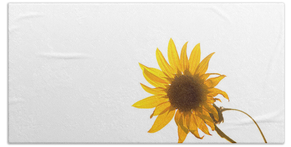 California Hand Towel featuring the photograph Hello Yellow by Peter Tellone