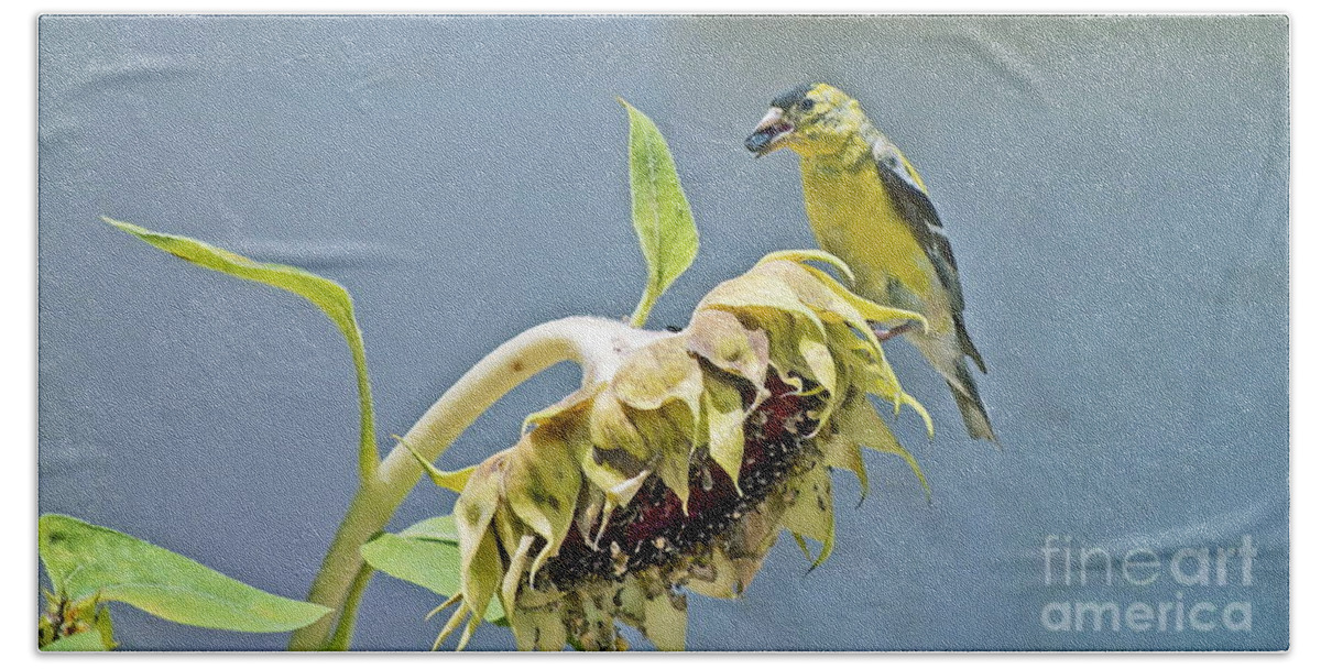 Bird Bath Towel featuring the photograph Helping With Harvest by Gwyn Newcombe