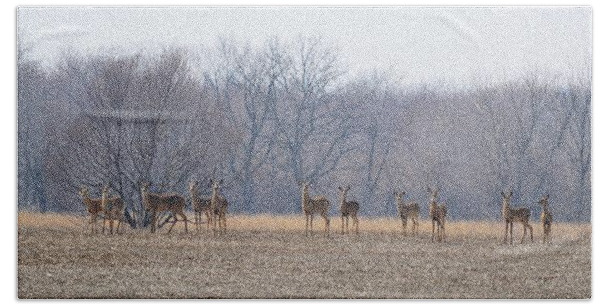 Deer Hand Towel featuring the photograph Herd Mentality by Bonfire Photography
