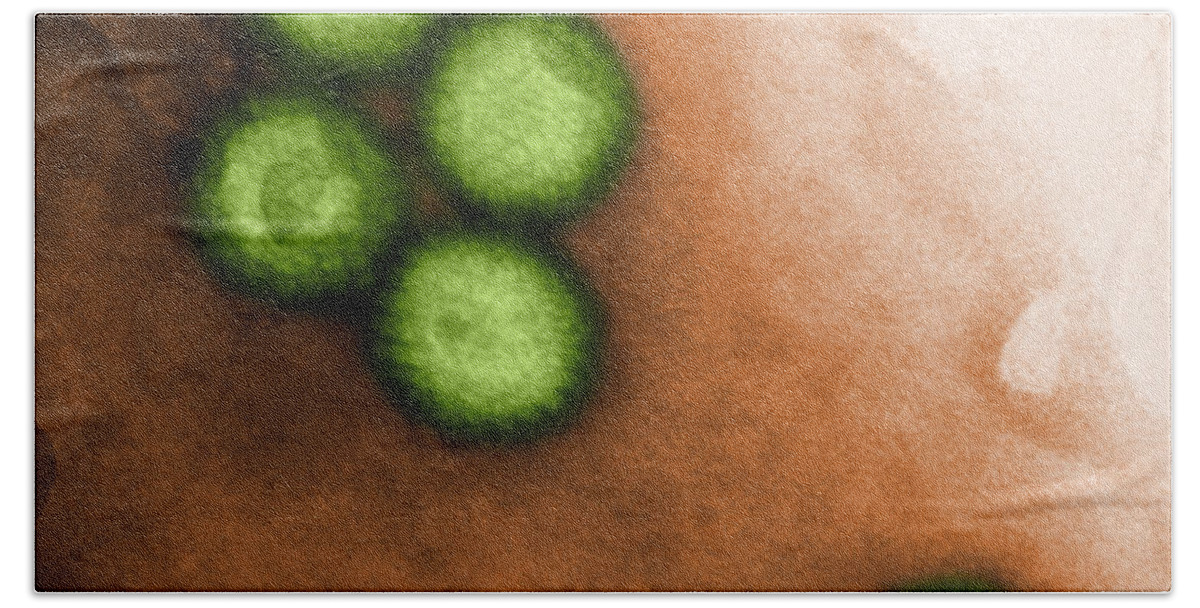Transmission Electron Micrograph Bath Towel featuring the photograph Herpes Simplex Virus Tem by Biophoto Associates