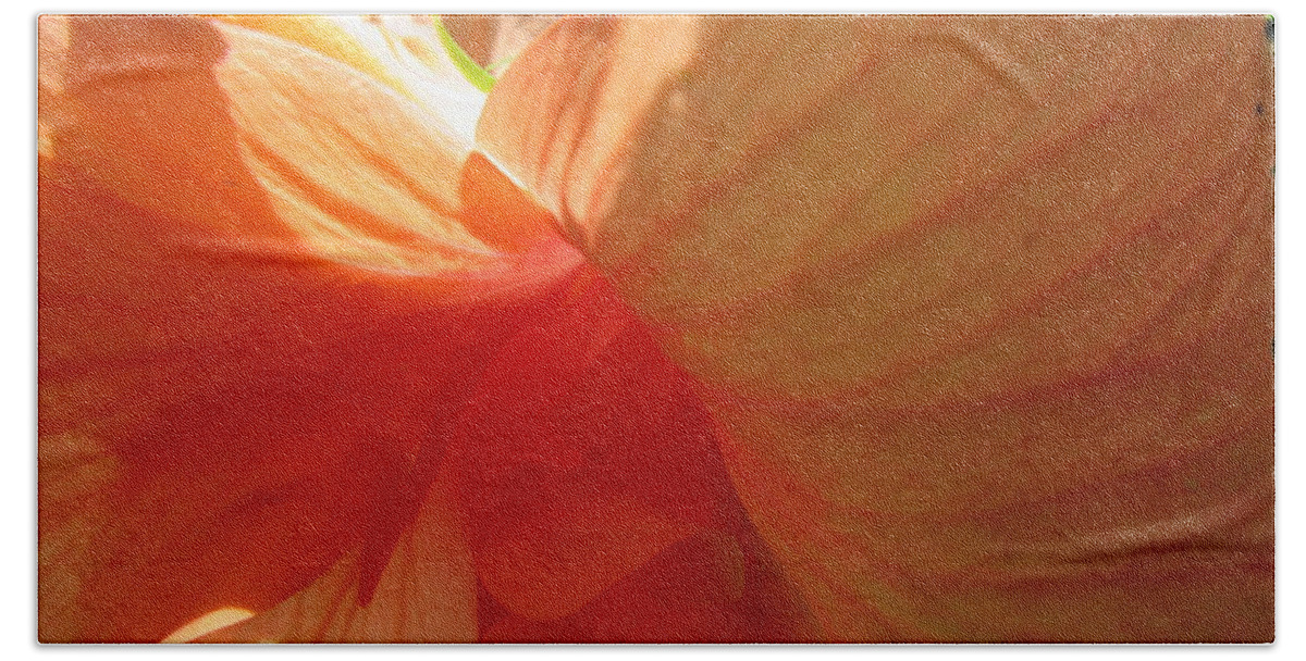 Hibiscus Hand Towel featuring the photograph Hibiscus Butterfly by Ashley Goforth
