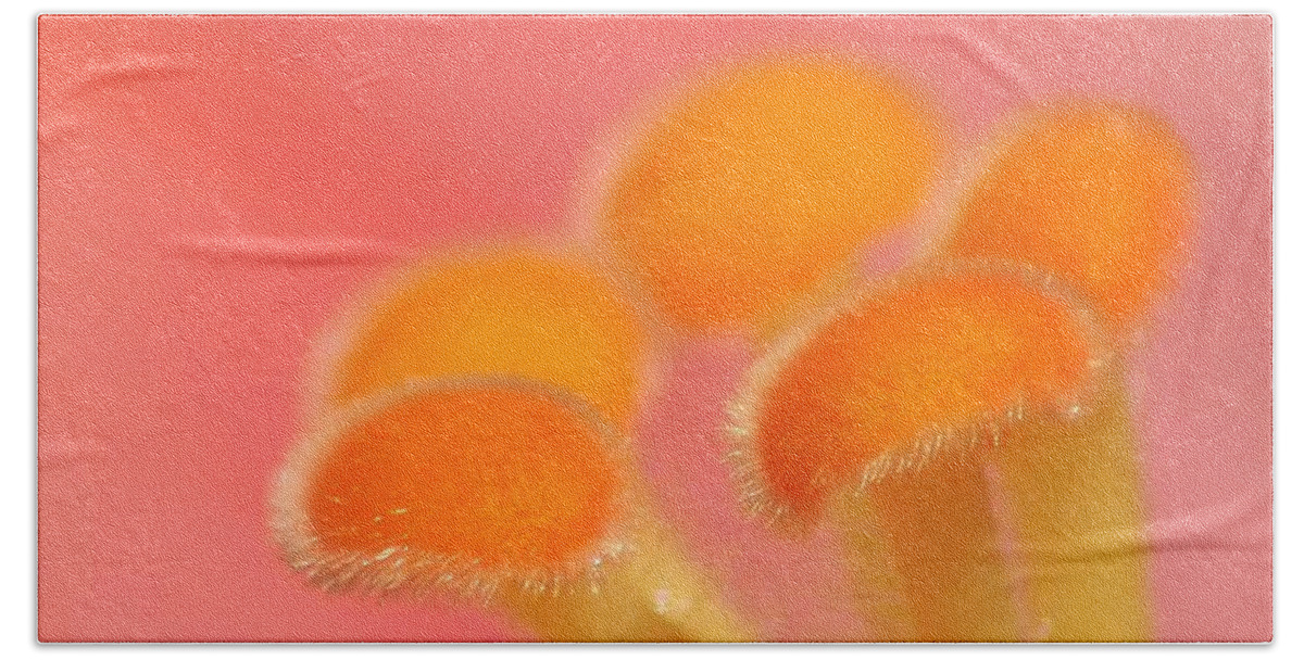 Macro Bath Towel featuring the photograph Hibiscus Center Macro by Chris Anderson