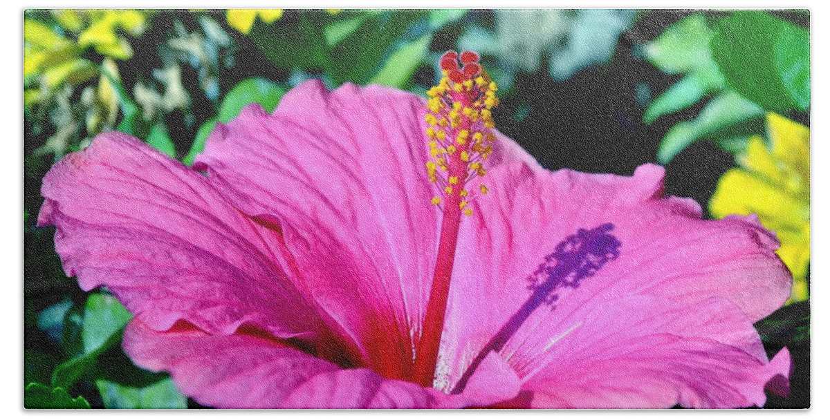 Hibiscus Hand Towel featuring the photograph Hibiscus by Deena Stoddard