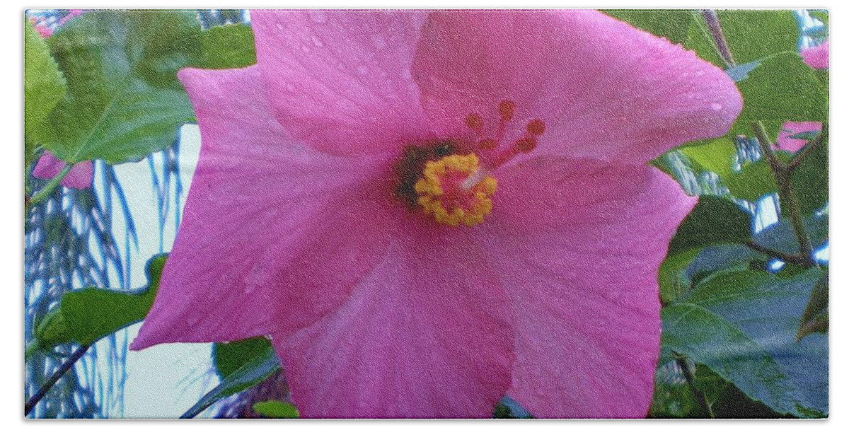 Pink Hibiscus Bath Towel featuring the photograph Hibiscus flower by Graciela Castro