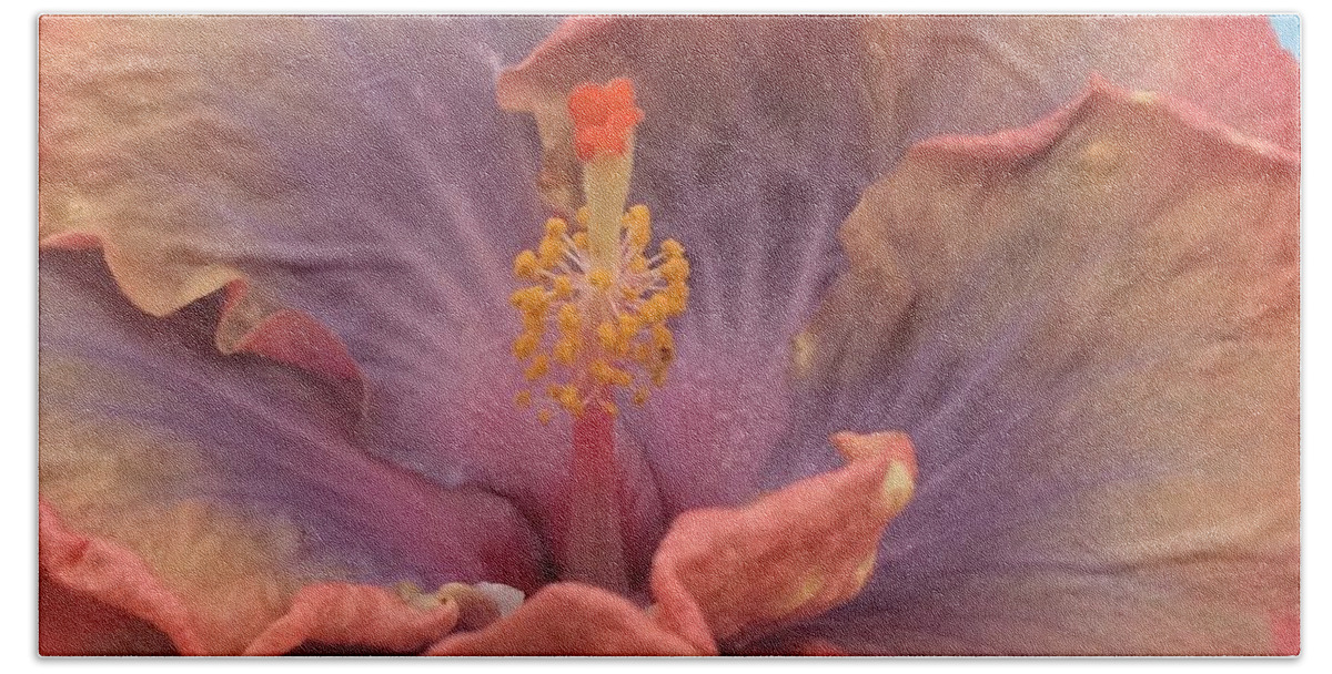 Hibiscus Bath Towel featuring the photograph Hibiscus by Robin Pedrero