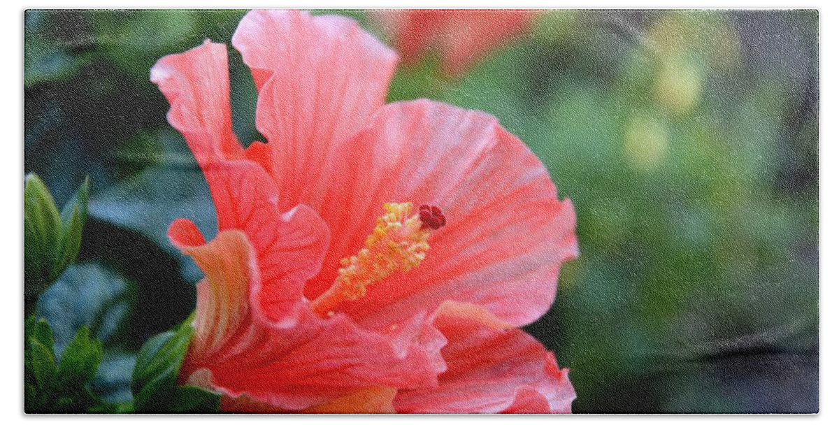 Hibiscus Bath Towel featuring the photograph Hibiscus summer by Linda Bailey