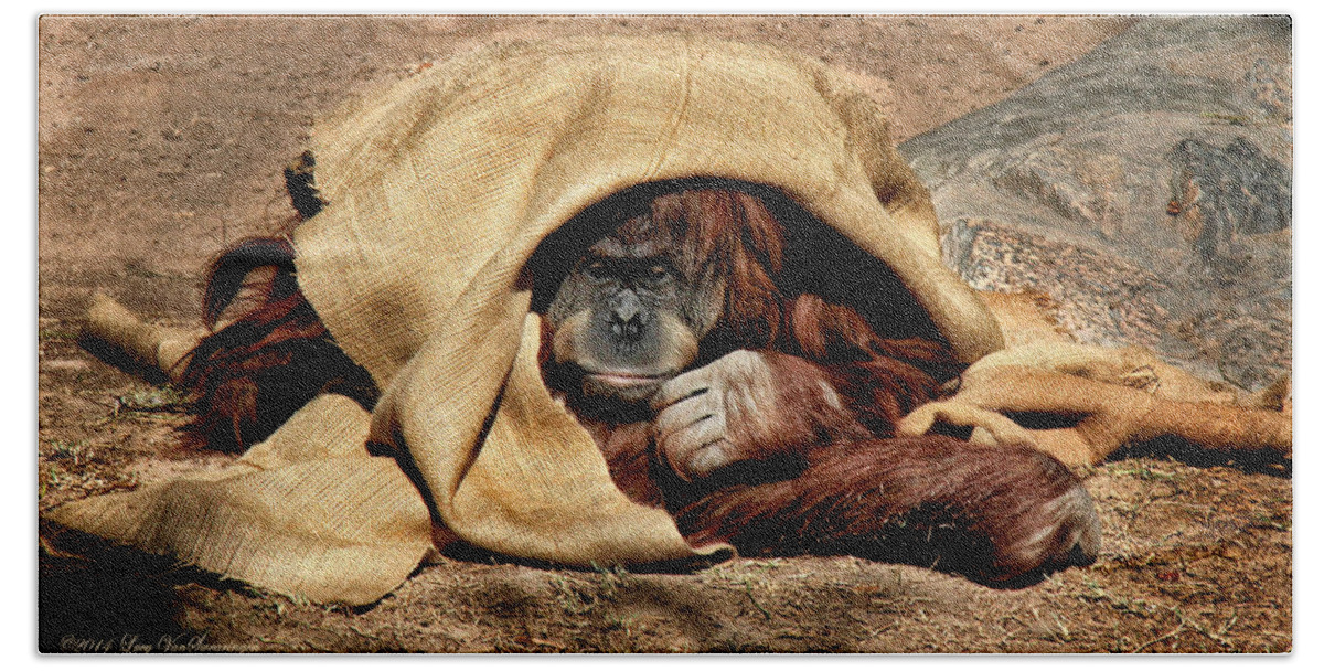 Orangutan Bath Towel featuring the photograph Hiding In Plain Sight by Lucy VanSwearingen