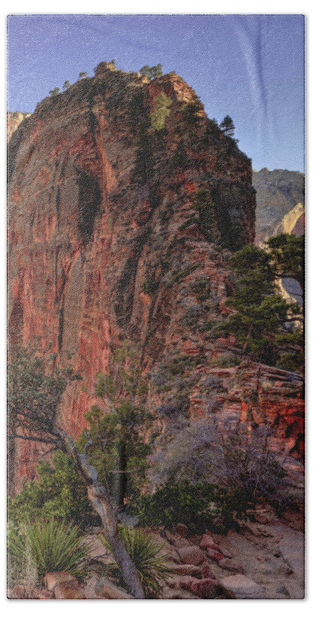 Angels Landing Hand Towel featuring the photograph Hiking Angels by Chad Dutson