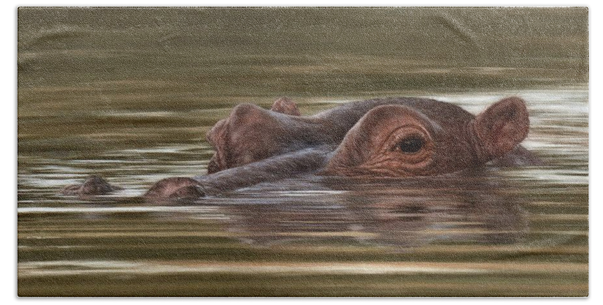 Hippopotamus Bath Towel featuring the painting Hippo Painting by Rachel Stribbling