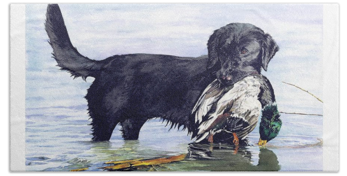 Black Retriever Dog Retrieving A Mallard. Bath Towel featuring the painting His First Catch by Brenda Beck Fisher