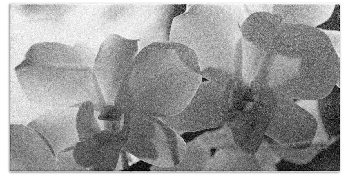 Orchids Bath Towel featuring the photograph Hit by Light. White Orchids by Jenny Rainbow