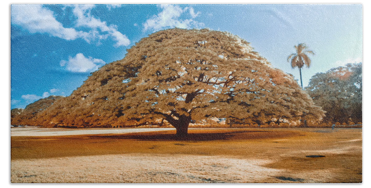 590 Nm Bath Towel featuring the photograph Hitachi Tree in Infrared by Jason Chu