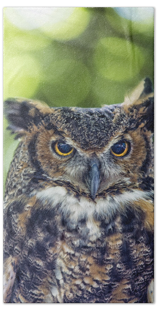 Owl Hand Towel featuring the photograph Horned Owl Up Close by Bill and Linda Tiepelman