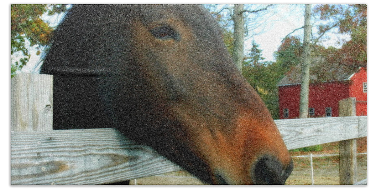 Horse Bath Towel featuring the photograph Horse by Bruce Carpenter