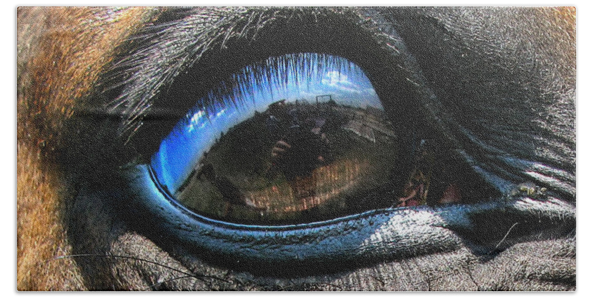 Eye Hand Towel featuring the photograph Horse eye by Daliana Pacuraru