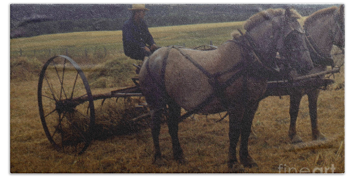 Horsedrawn Hand Towel featuring the photograph Horsedrawn Harvester hay rake on the Berta Ranch Carmel Valley California circa 1950 by Monterey County Historical Society