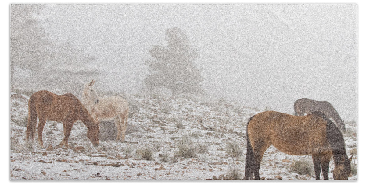 Horses Bath Towel featuring the photograph Horses in the Winter Snow and Fog by James BO Insogna
