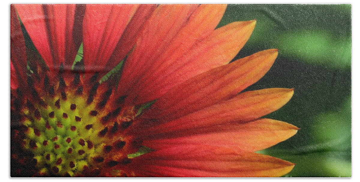 Flower Bath Towel featuring the photograph Hot Flames by Sabrina L Ryan