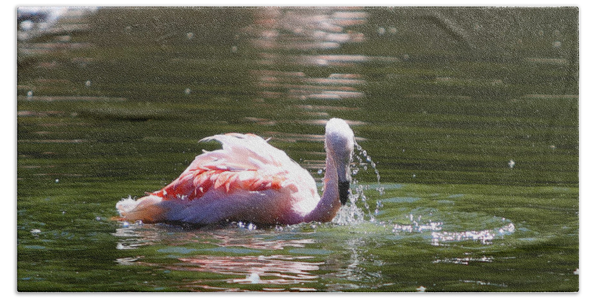 Flamingo Bath Towel featuring the photograph Hot summer days by Rick Kuperberg Sr