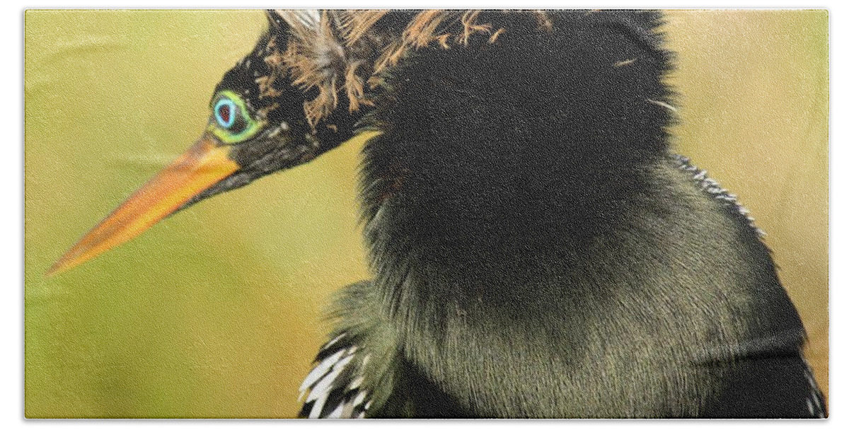 Anhinga Hand Towel featuring the photograph Hows My Dew by Adam Jewell