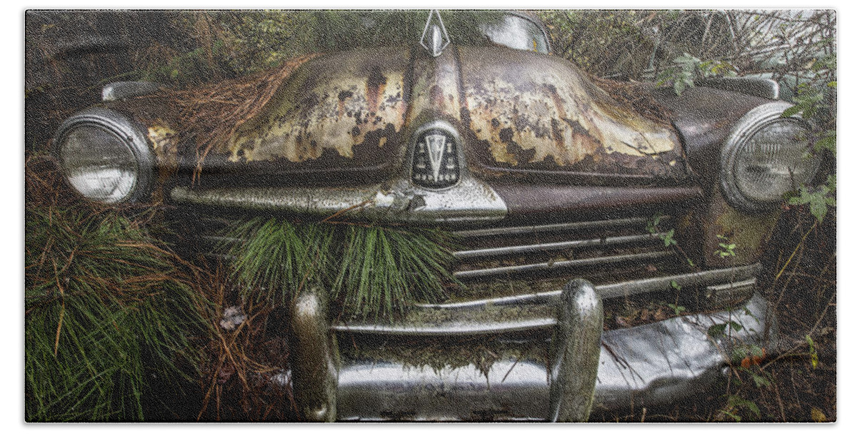 Car Bath Towel featuring the photograph Hudson by Debra and Dave Vanderlaan
